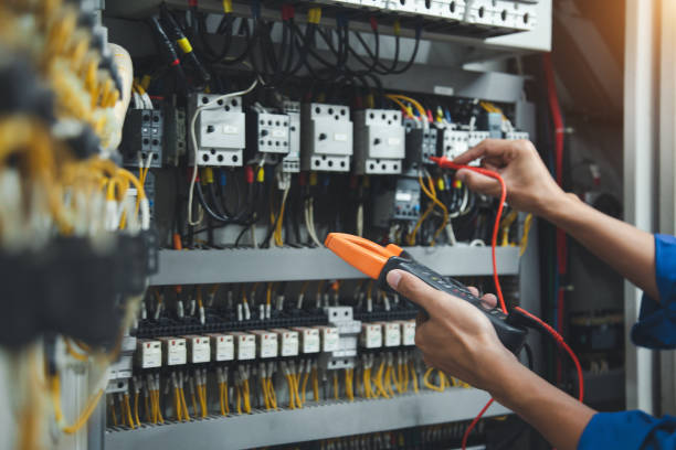 Best Electrical Troubleshooting Services  in Palmetto, FL