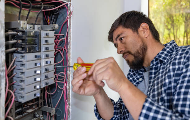 Best Electric Panel Repair  in Palmetto, FL